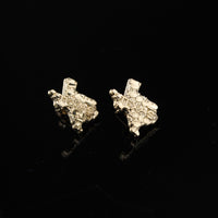 10K Studs Other 2.4g YG Earring