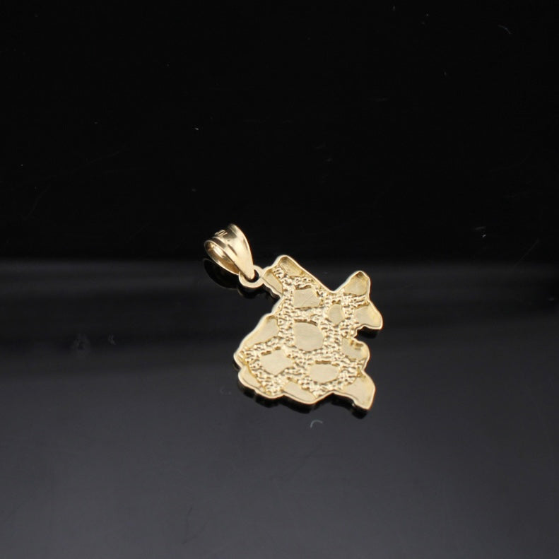 Colgante pepita de oro de 10K real de Texas
