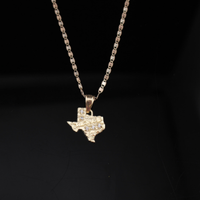Colgante y cadena de pepita de Texas de oro de 10K auténtico