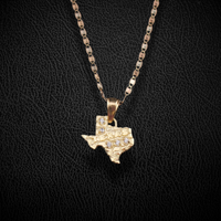 Colgante y cadena de pepita de Texas de oro de 10K auténtico